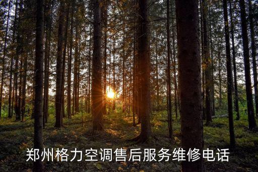 格力官网售后电话客服电话是多少，武汉格力空调售后服务电话