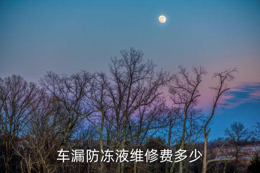 车漏防冻液维修费多少