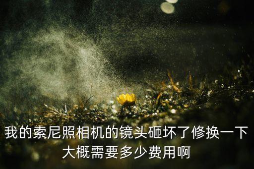 我的索尼照相机的镜头砸坏了修换一下大概需要多少费用啊