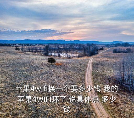 苹果4wifi换一个要多少钱 我的苹果4WIFI坏了 说具体点 多少钱