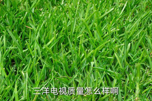 三洋液晶电视如何，三洋电视质量怎么样啊