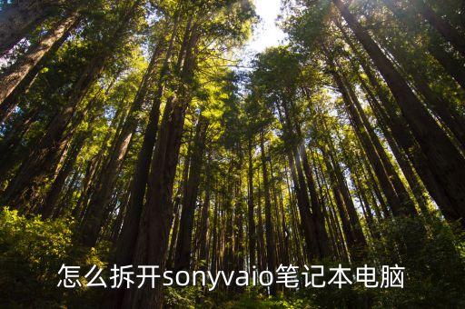 怎么拆开sonyvaio笔记本电脑