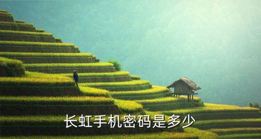 长虹手机密码是多少