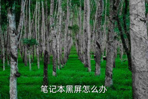 笔记本黑屏怎么办