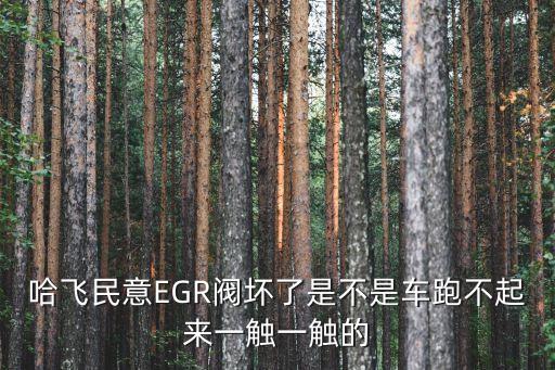 哈飞民意EGR阀坏了是不是车跑不起来一触一触的
