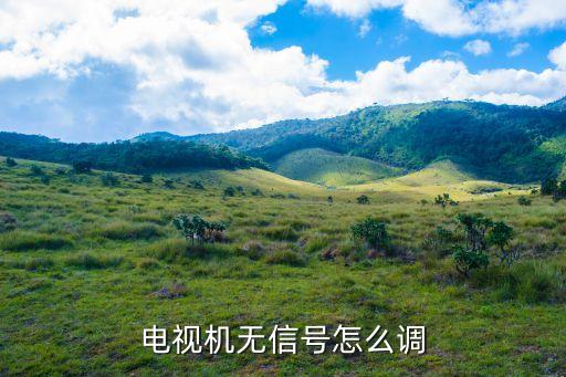 电视机无信号怎么调