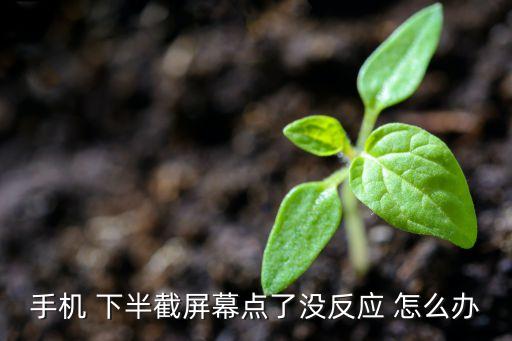 手机 下半截屏幕点了没反应 怎么办