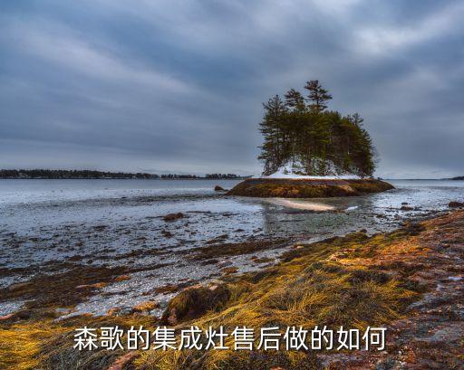 森歌的集成灶售后做的如何