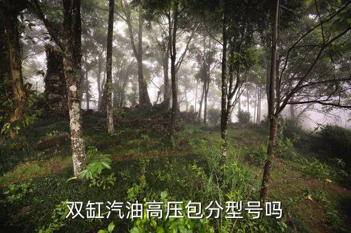 双缸汽油高压包分型号吗