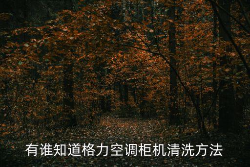 有谁知道格力空调柜机清洗方法