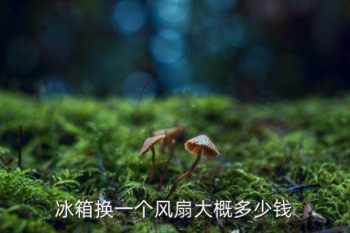 冰箱换一个风扇大概多少钱