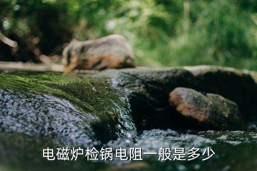 电磁炉马达电阻是多少，电磁炉检锅电阻一般是多少
