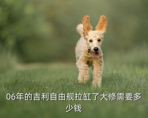 06年的吉利自由舰拉缸了大修需要多少钱