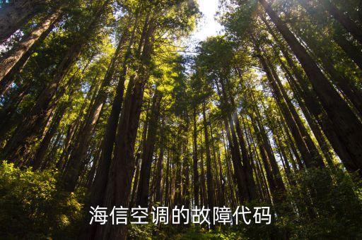 海信空调 如何查看故障代码，海信空调代码在哪里看
