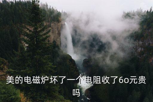 美的电磁炉坏了一个电阻收了6o元贵吗