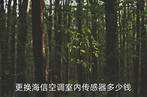 更换海信空调室内传感器多少钱