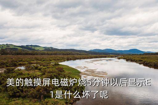 美的触摸屏电磁炉烧5分钟以后显示E1是什么坏了呢