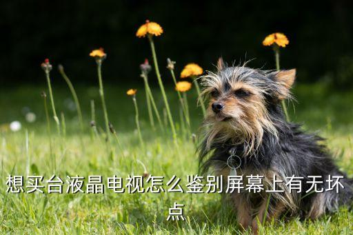 液晶电视怎么检验屏幕，怎么样检测液晶屏的质量