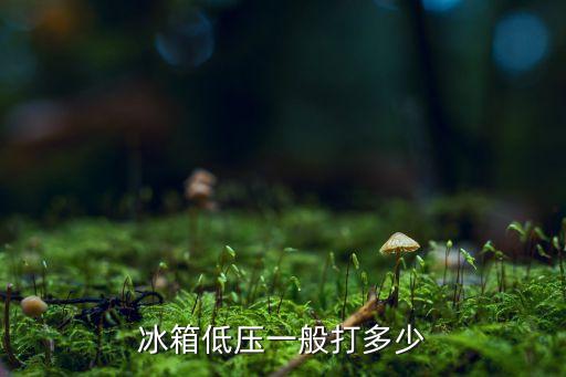冰箱低压一般打多少