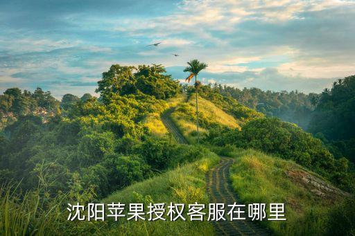 沈阳苹果授权客服在哪里