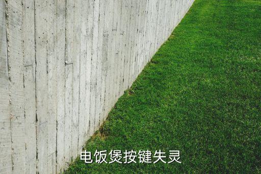 电饭煲按键失灵