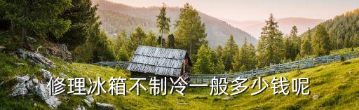 修理冰箱不制冷一般多少钱呢