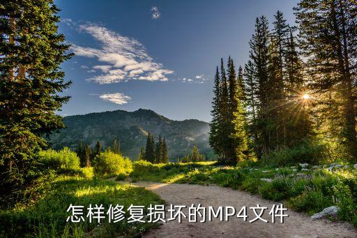 mp4怎么修，mp4格式文件损坏怎样修复