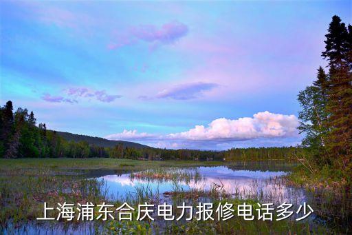 上海浦东合庆电力报修电话多少