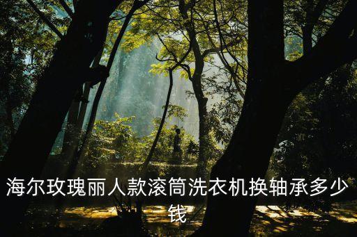 滚筒洗衣机轴承多少钱，美的滚筒洗衣机轴承多少钱