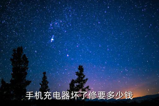 手机充电维修多少钱啊，手机充电异常修要多少钱
