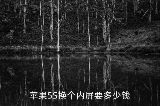 苹果5S换个内屏要多少钱