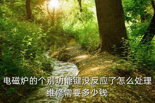 电磁炉的个别功能键没反应了怎么处理维修需要多少钱