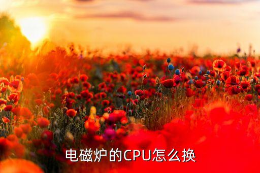 电磁炉的CPU怎么换