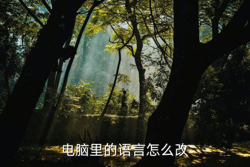 电脑里的语言怎么改