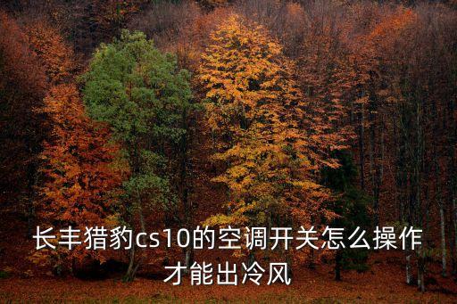 长丰猎豹cs10的空调开关怎么操作才能出冷风