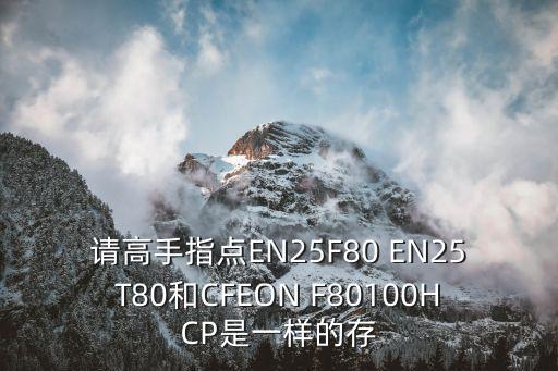 en25t80 一管多少个，EN25T80和EN25F80一样吗可以直接对换吗