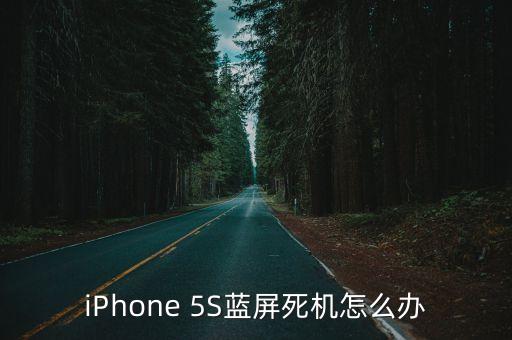 iPhone 5S蓝屏死机怎么办