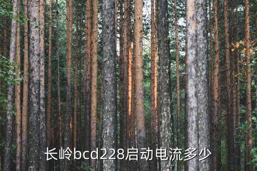 长岭bcd228启动电流多少