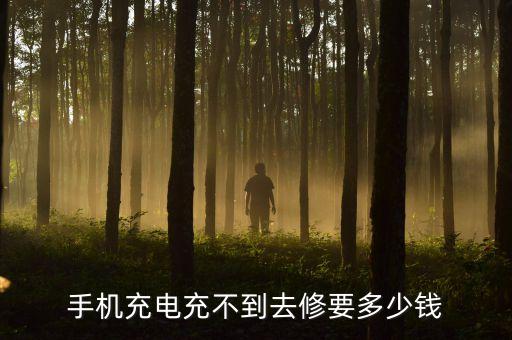 手机充电充不到去修要多少钱