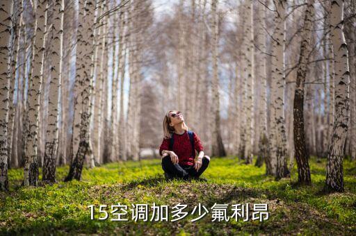 空调加管15米需要加多少氟利昂，15空调加多少氟利昂