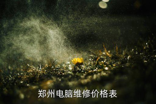 郑州电脑维修价格表