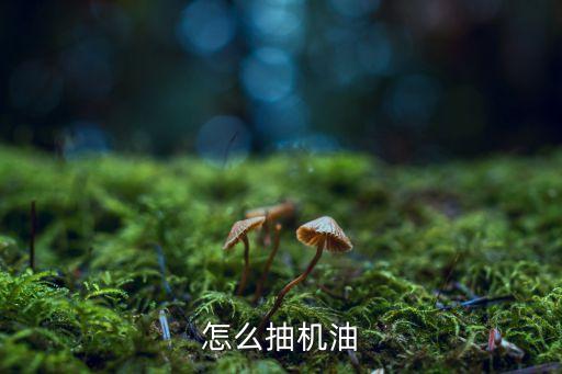 怎么抽机油