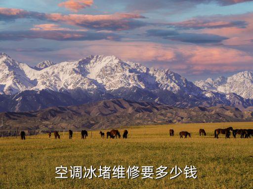 空调冰堵维修要多少钱