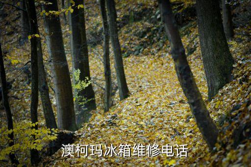 澳柯玛石家庄维修电话多少钱，澳柯玛冰箱维修电话