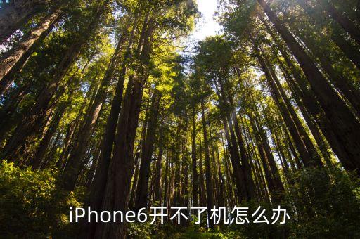 iPhone6开不了机怎么办