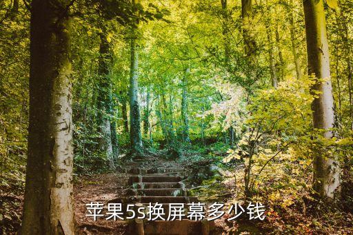 苹果5s换屏幕多少钱