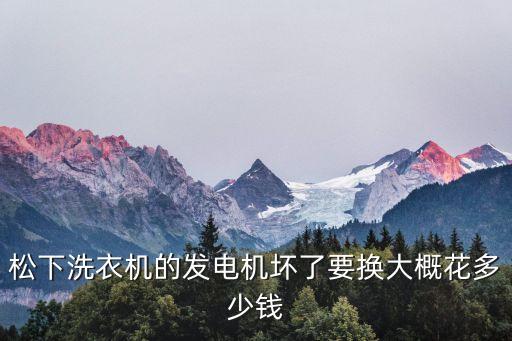 松下洗衣机的发电机坏了要换大概花多少钱