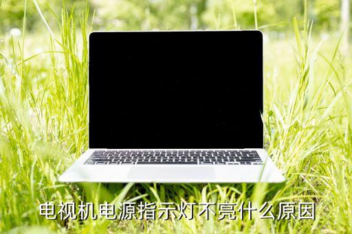 电视机电源指示灯不亮什么原因