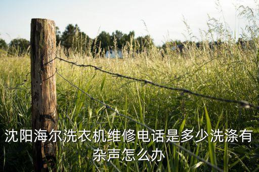 沈阳海尔洗衣机维修电话是多少洗涤有杂声怎么办