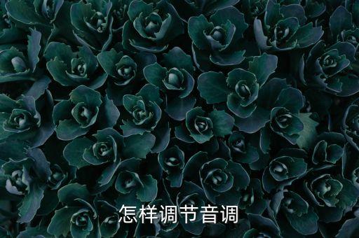 怎样调节音调